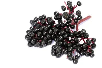Elderberry Infused Balsamic Vinegar