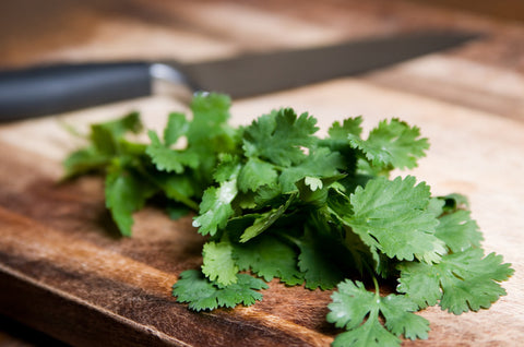 Garlic Cilantro Infused Balsamic Vinegar