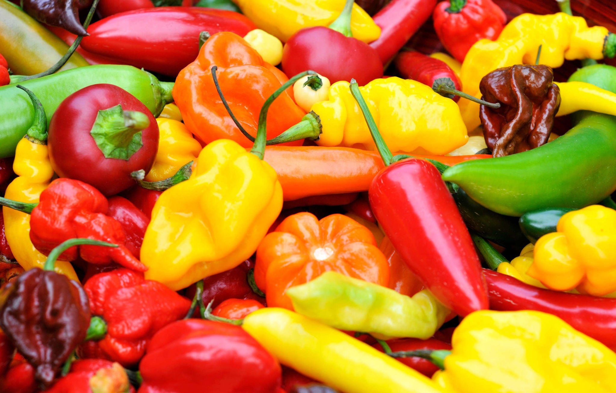 Hot Sauces