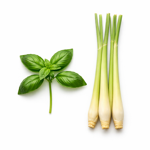 Basil Lemongrass Infused Olive Oil
