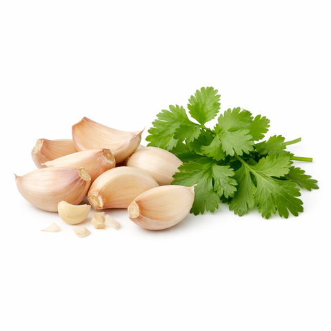 Garlic Cilantro Infused Balsamic Vinegar
