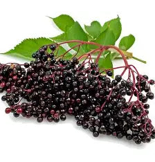 Elderberry Infused Balsamic Vinegar