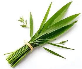 Basil Lemongrass Infused Olive Oil
