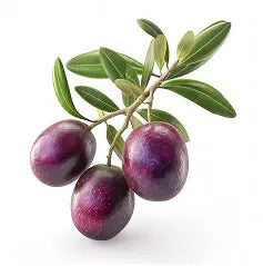 Greek Kalamata Non-Infused Olive Oil