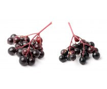 Elderberry Infused Balsamic Vinegar