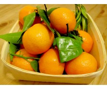 Mandarin Orange Infused Balsamic Vinegar