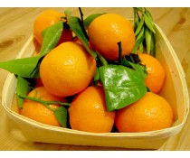 Mandarin Orange Infused Balsamic Vinegar
